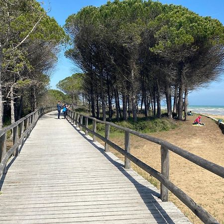 Nice Two-Bedroom Apartment 150M From The Beach ビビオーネ エクステリア 写真