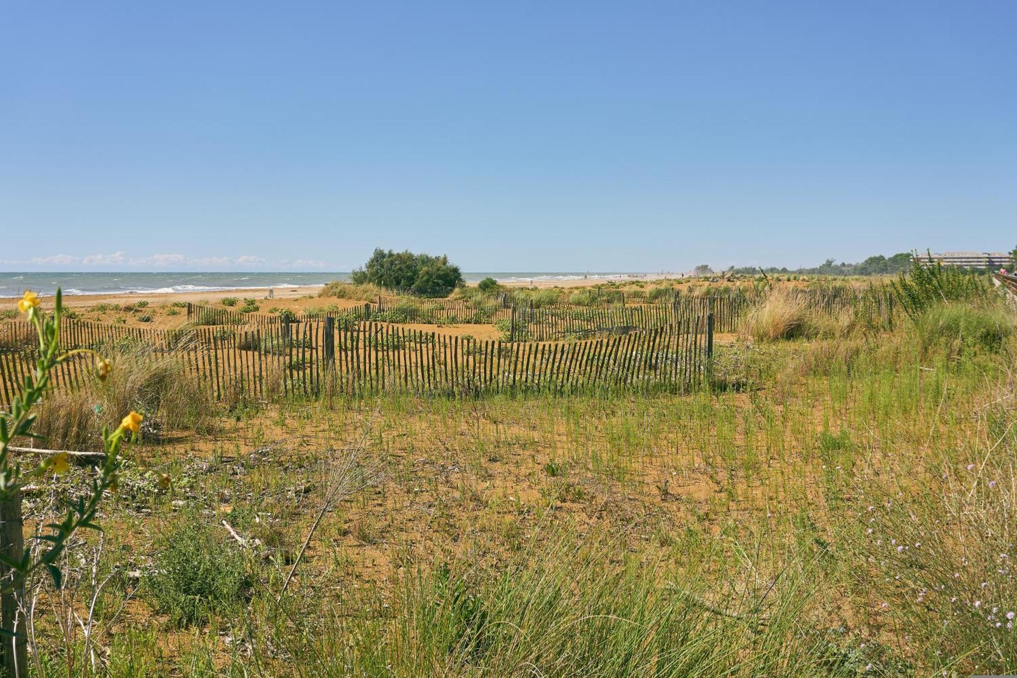 Nice Two-Bedroom Apartment 150M From The Beach ビビオーネ エクステリア 写真
