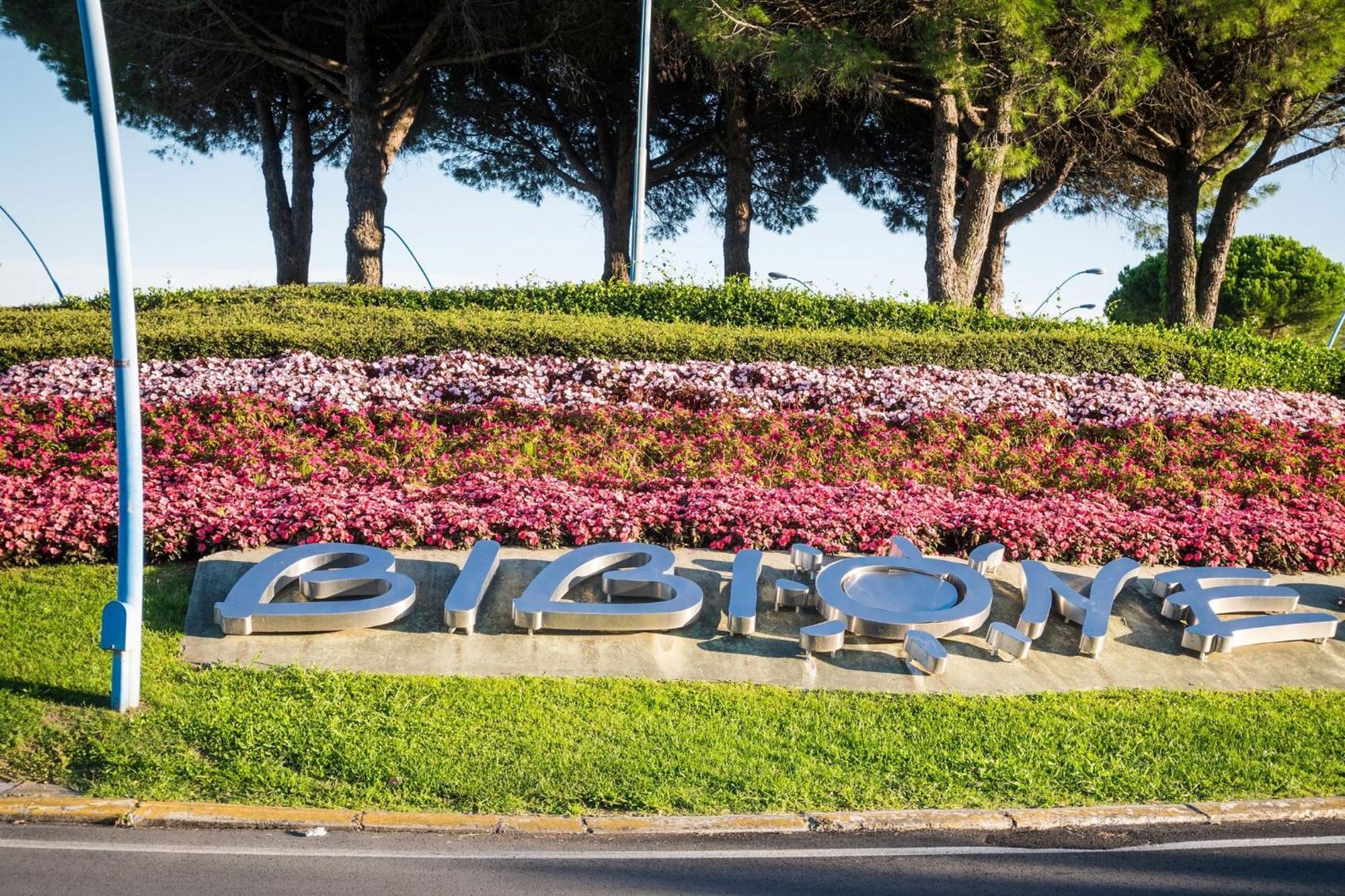 Nice Two-Bedroom Apartment 150M From The Beach ビビオーネ エクステリア 写真